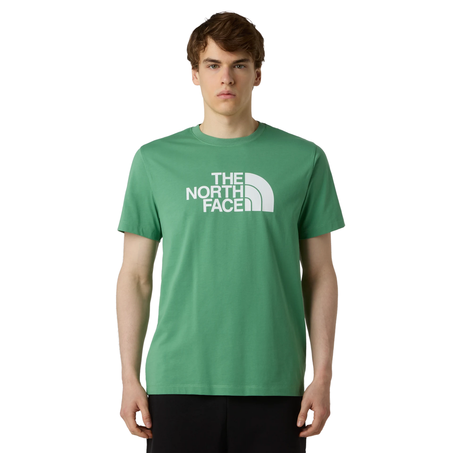 T-shirt The North Face Evo Hlf DME Reg Dimmed