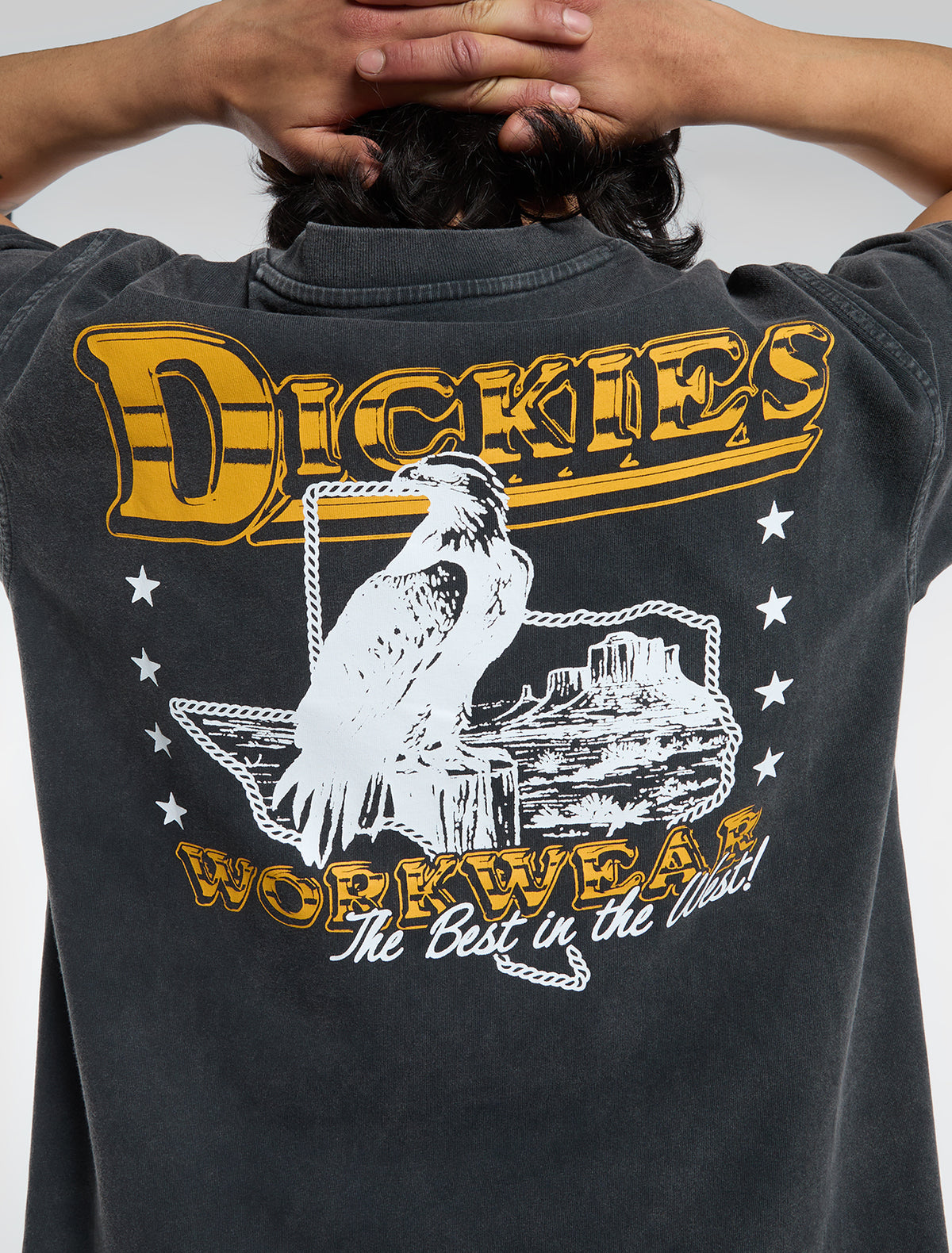 Dickies Gainesville Black T-Shirt