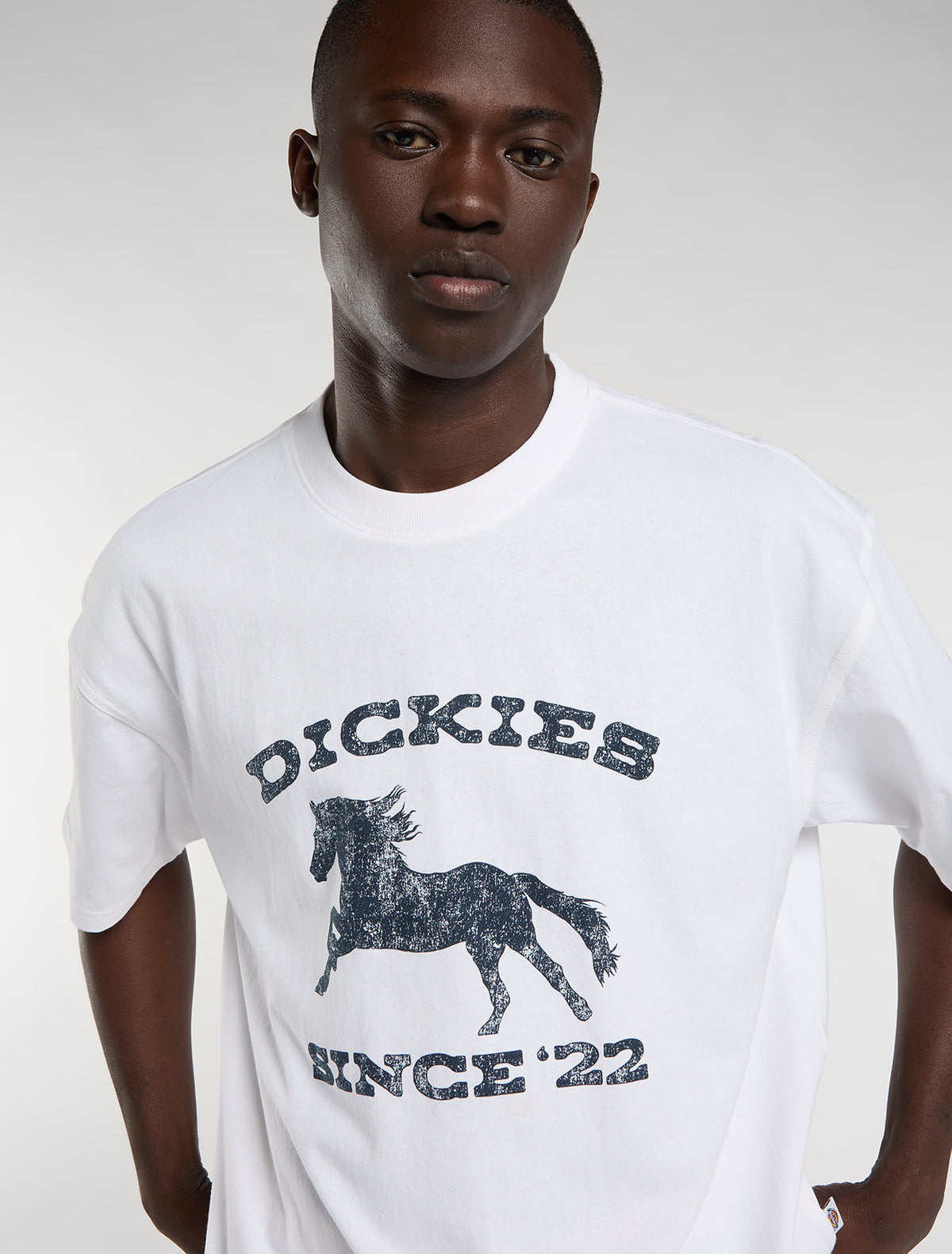 Dickies Owyhee White T-Shirt