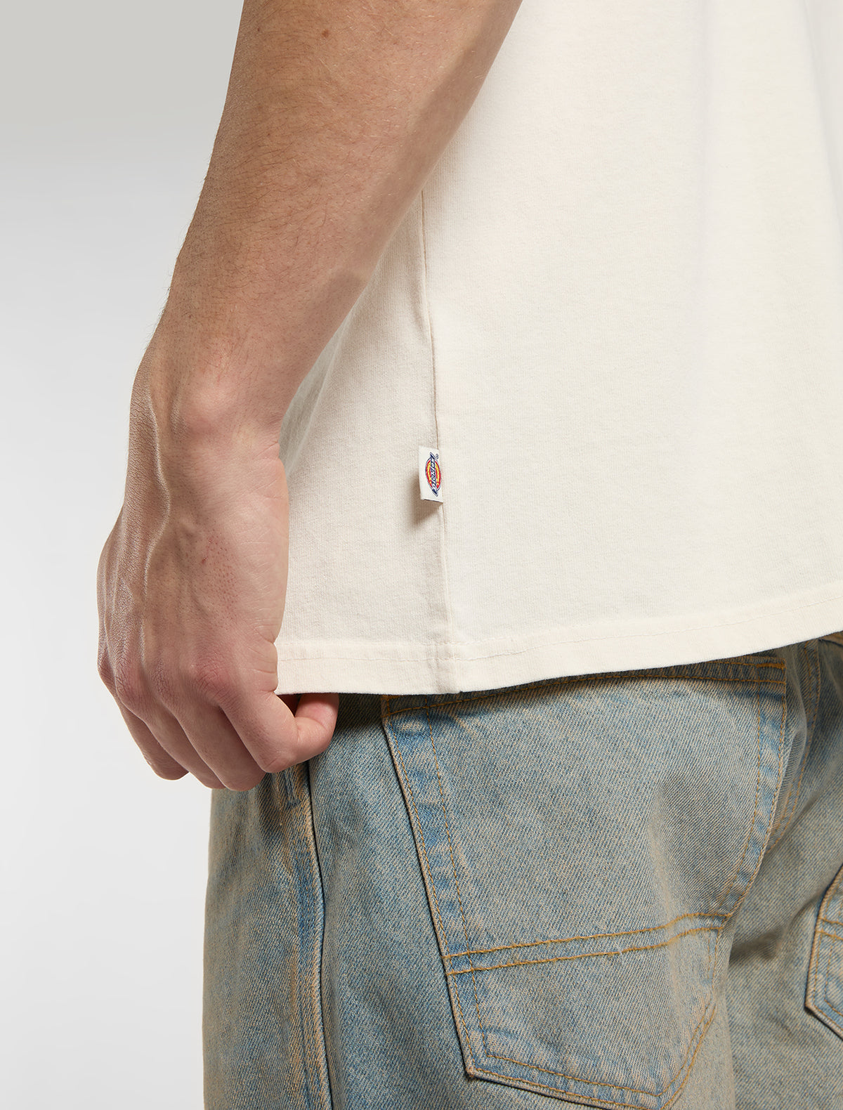 Dickies Bradenton Egret T-Shirt