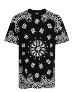 Supreme x Hanes Bandana Tagless T-Shirt