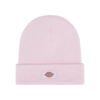 Dickies Gibsland Winsome Orchid Beanie