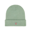 Dickies Gibsland Sea Spray Beanie
