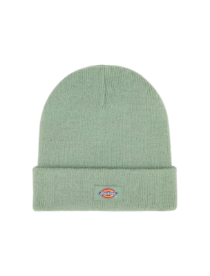 Dickies Gibsland Sea Spray Beanie
