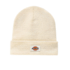 Dickies Gibsland Ecru Beanie