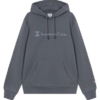 Champion FGY Hooded Sweatshirt